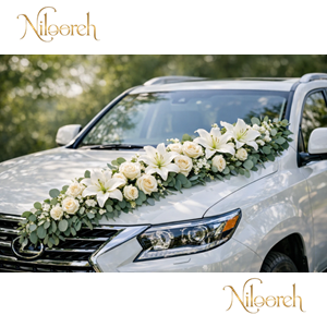 White-Green-Luxury-Car-Decor
