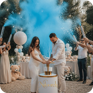 premium-gender-reveal-party-in-personal-location